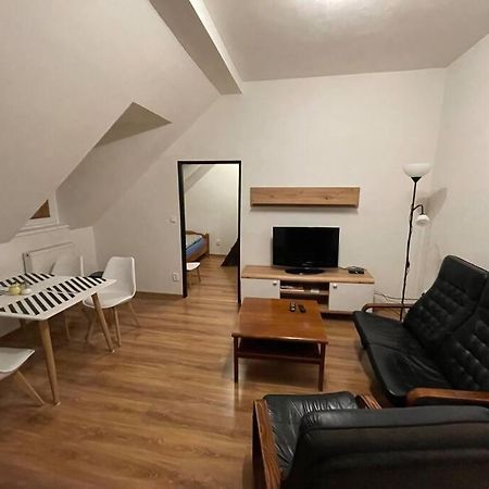Francis Apartment - Lazenske Centrum Karlovy Vary Dış mekan fotoğraf