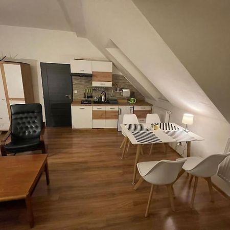 Francis Apartment - Lazenske Centrum Karlovy Vary Dış mekan fotoğraf