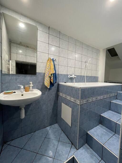 Francis Apartment - Lazenske Centrum Karlovy Vary Dış mekan fotoğraf