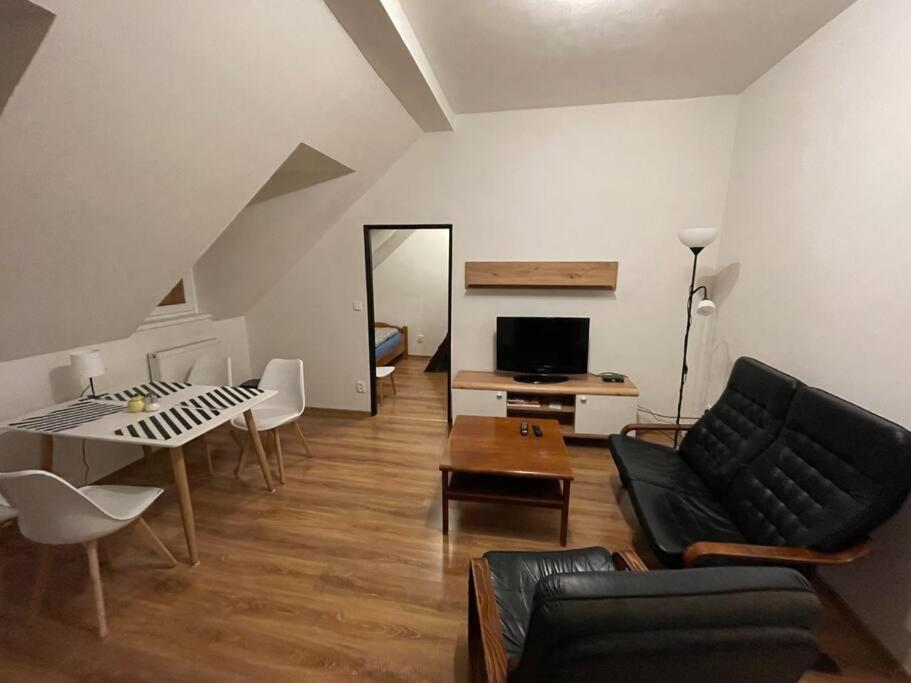 Francis Apartment - Lazenske Centrum Karlovy Vary Dış mekan fotoğraf
