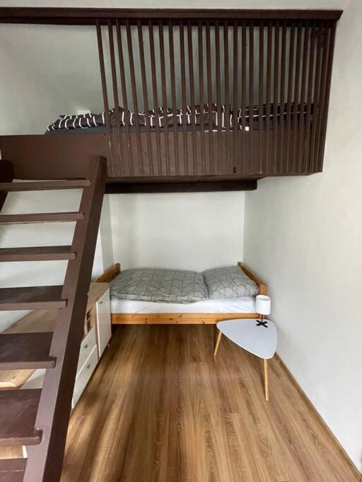 Francis Apartment - Lazenske Centrum Karlovy Vary Dış mekan fotoğraf