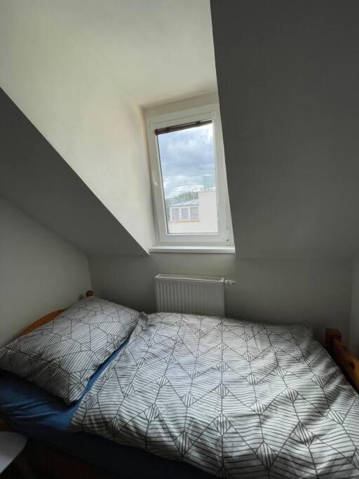 Francis Apartment - Lazenske Centrum Karlovy Vary Dış mekan fotoğraf