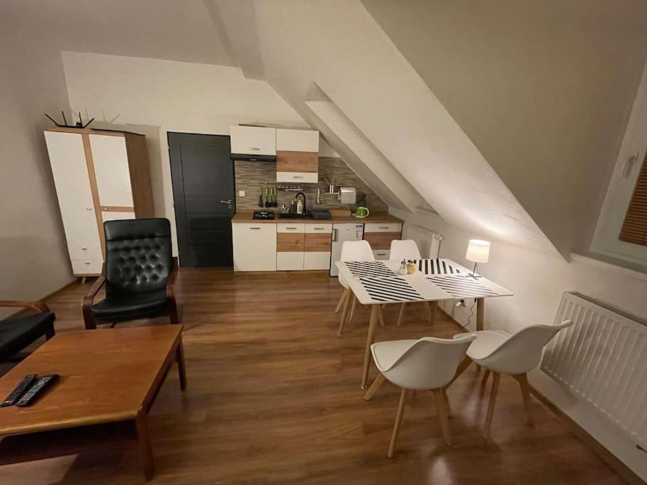 Francis Apartment - Lazenske Centrum Karlovy Vary Dış mekan fotoğraf